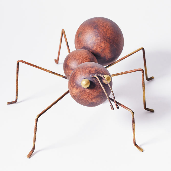 Large Ant