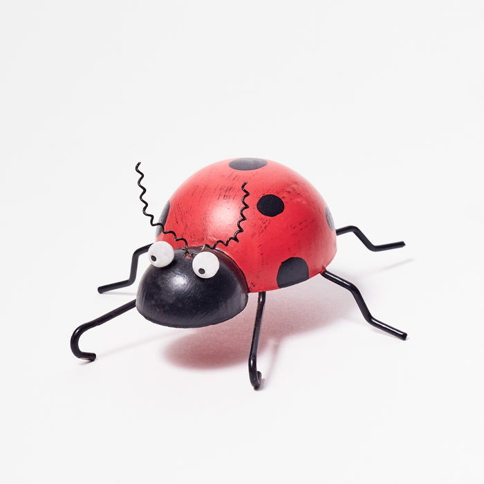 Small Ladybird