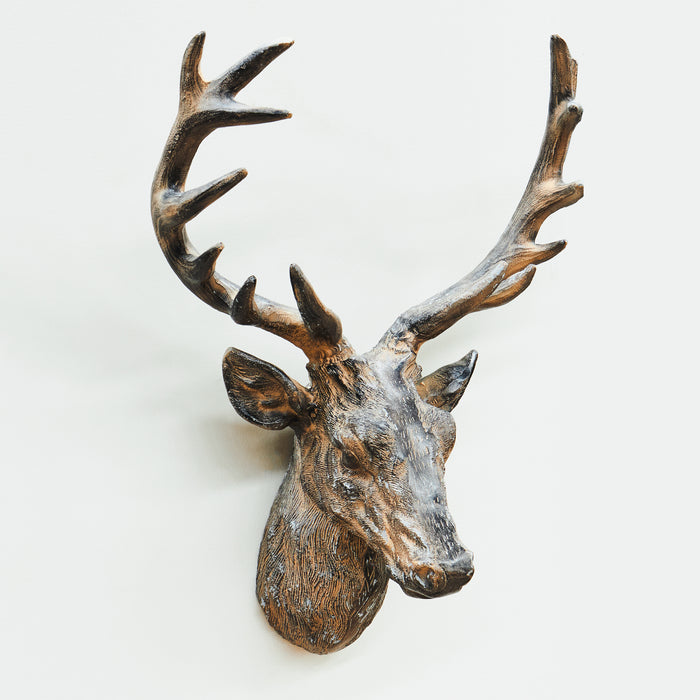 Stag's Head Wall Art