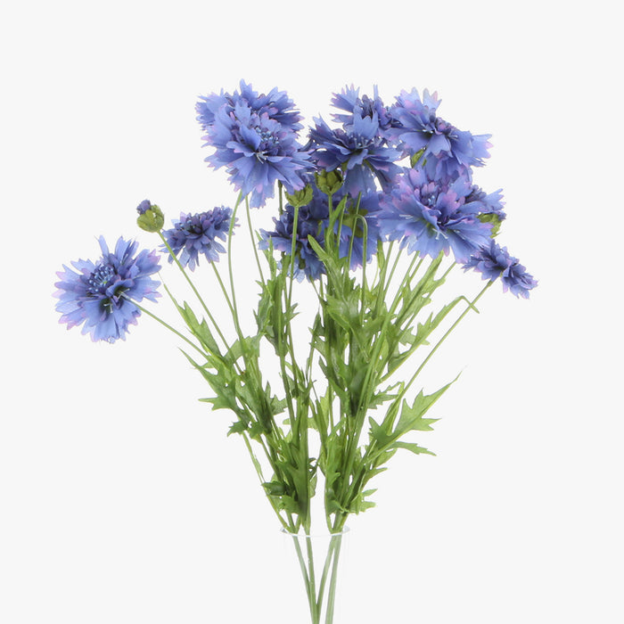 Cornflower Spray - Blue