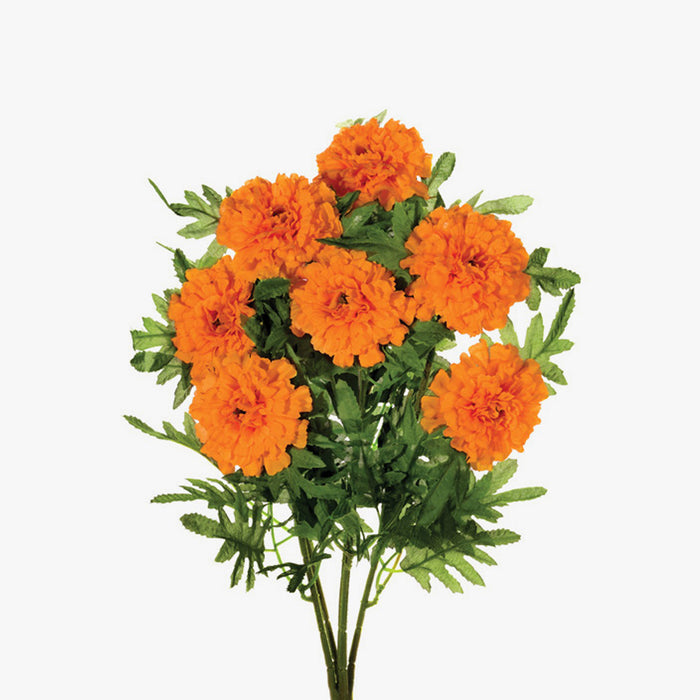 Orange Marigold Bush