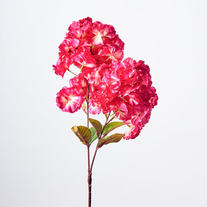 Cherry Blossom - Purple