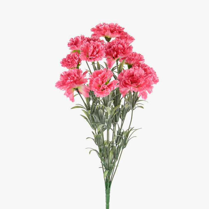 Pink Carnation Bush