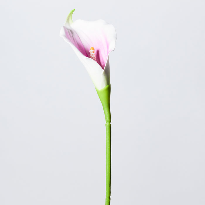 Calla - Cream/Lilac