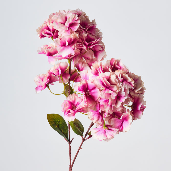 Cherry Blossom - Pink/Mauve