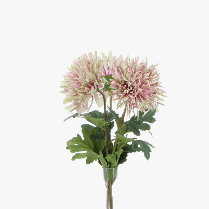 Chrysanthemum Stem - Green / Pink