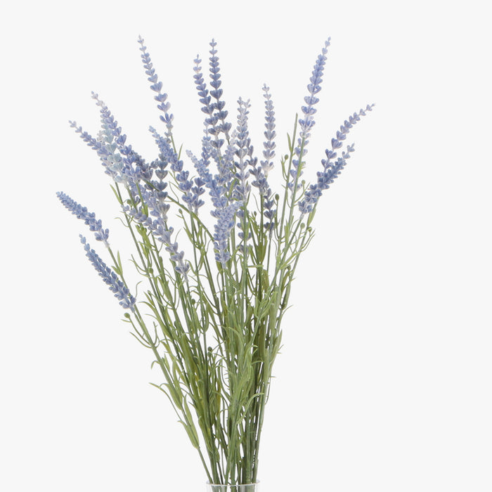 Lavender Spray - Light Blue