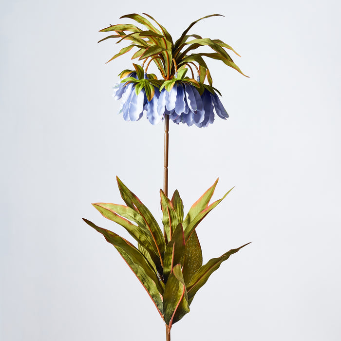 Fritillary Crown - Blue