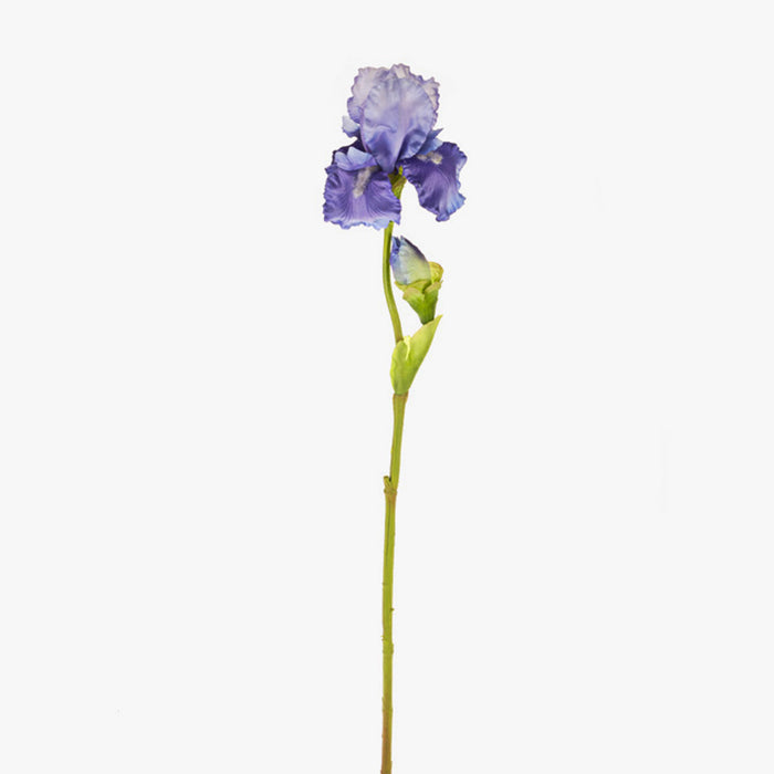 Iris Spray - Purple