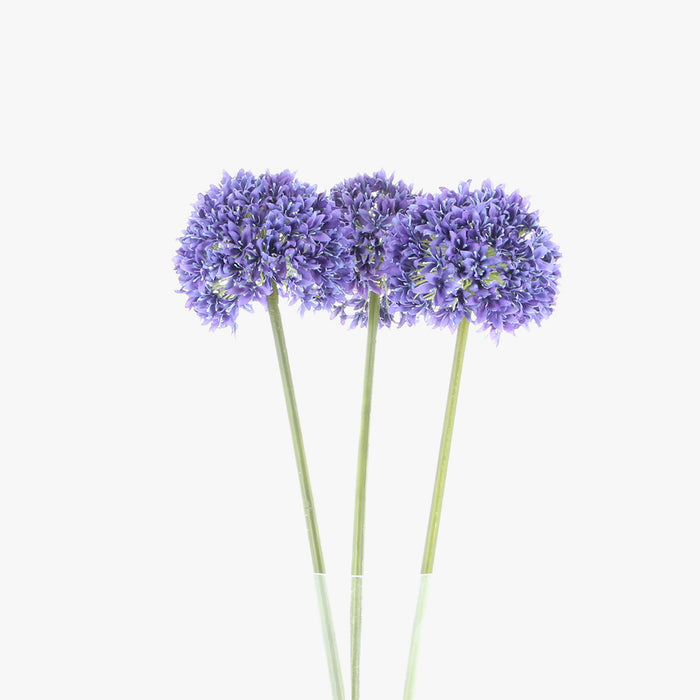 Large Allium - Blue
