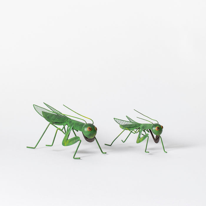 Large Grasshopper - Green