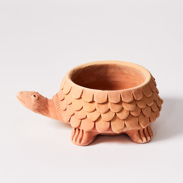 Naïve Tortoise Planter - Scales