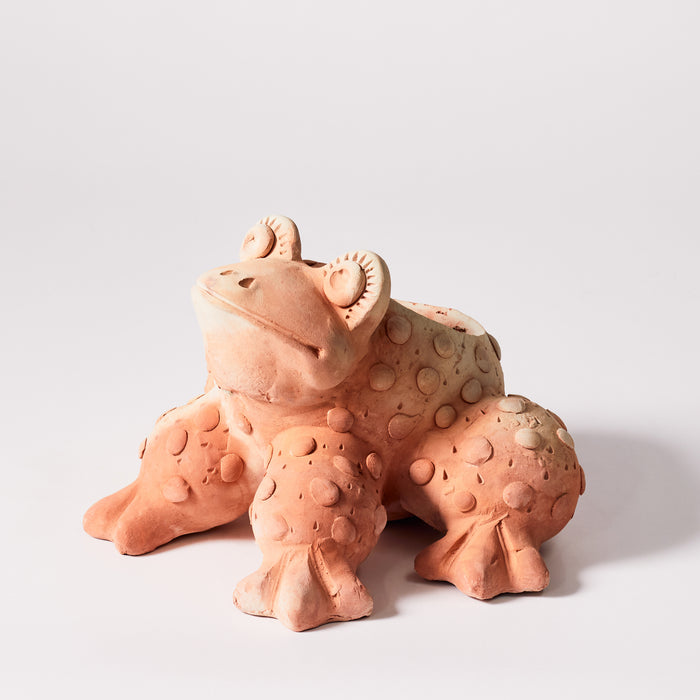 Small Frog Planter