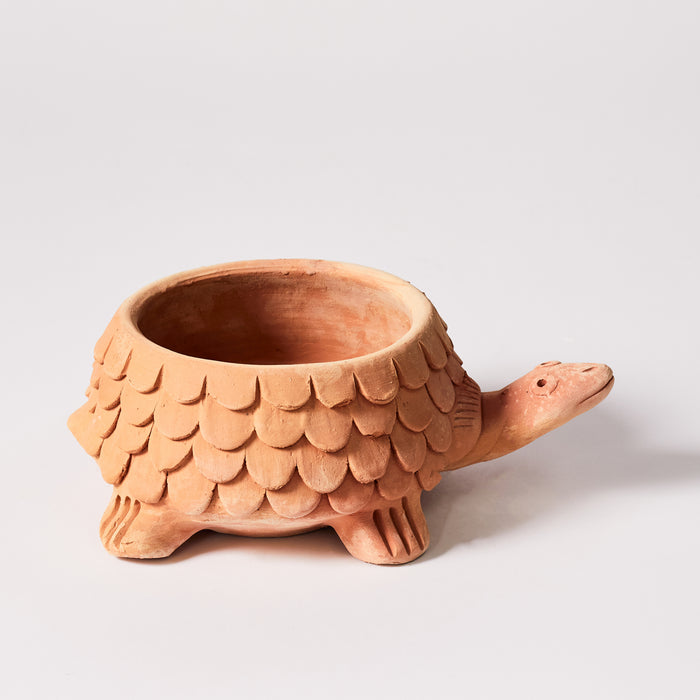 Naïve Tortoise Planter - Scales