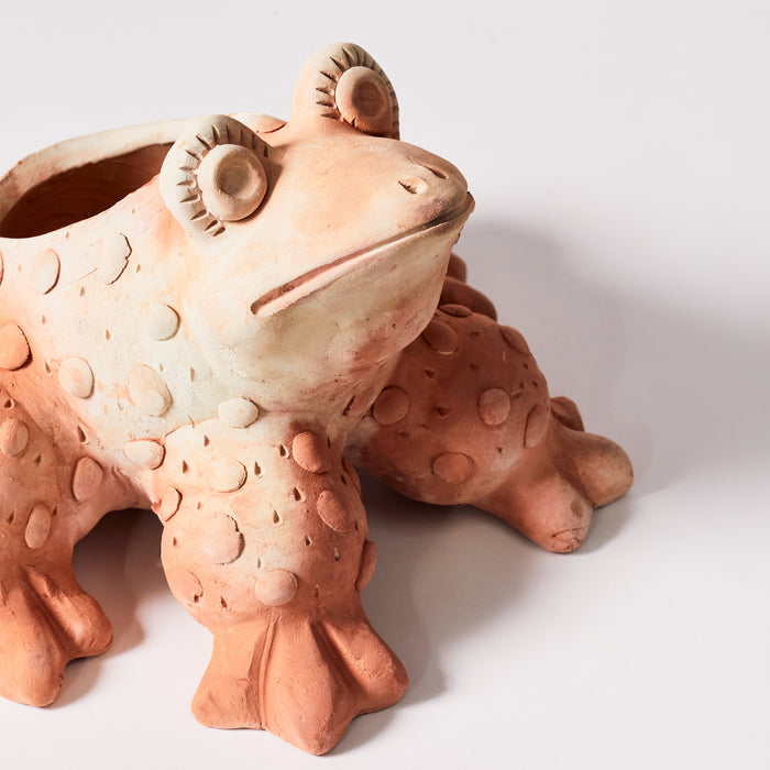 Small Frog Planter