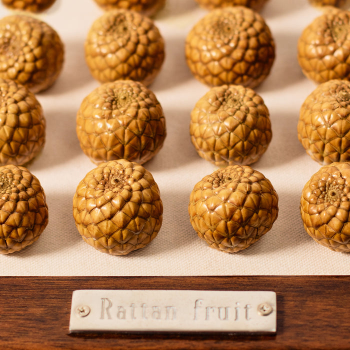 Rattan Fruits in Frame