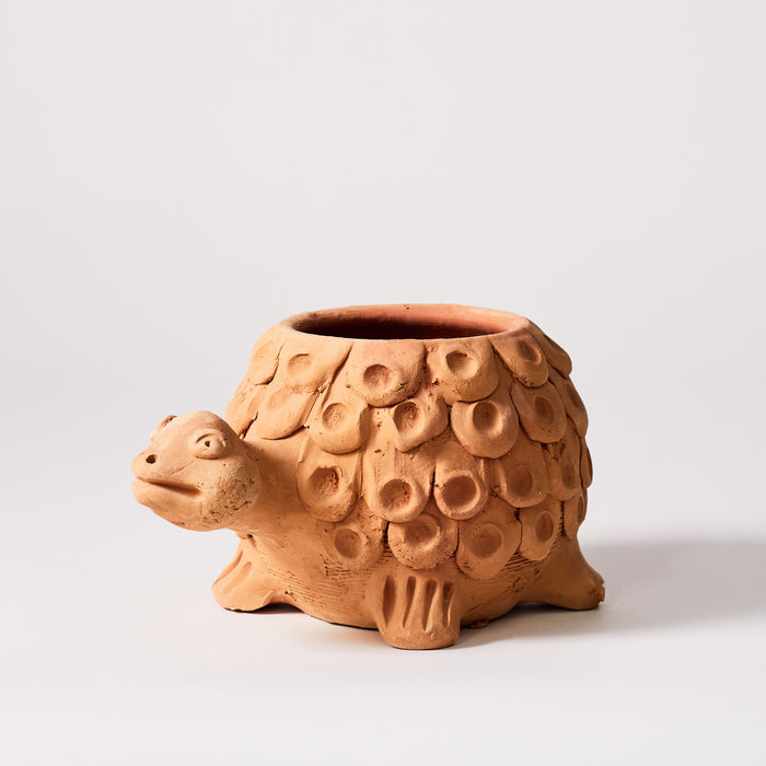 Naïve Tortoise Planter - Holes