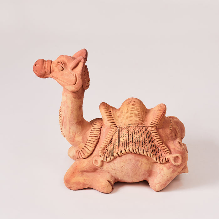 Sitting Camel