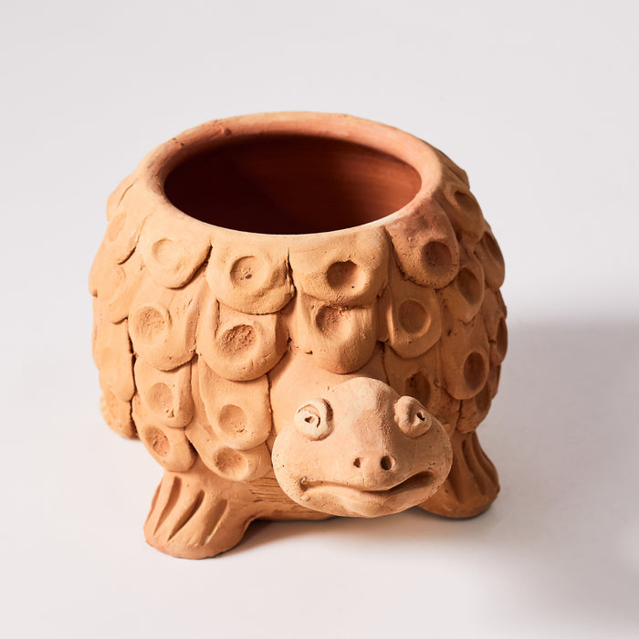 Naïve Tortoise Planter - Holes