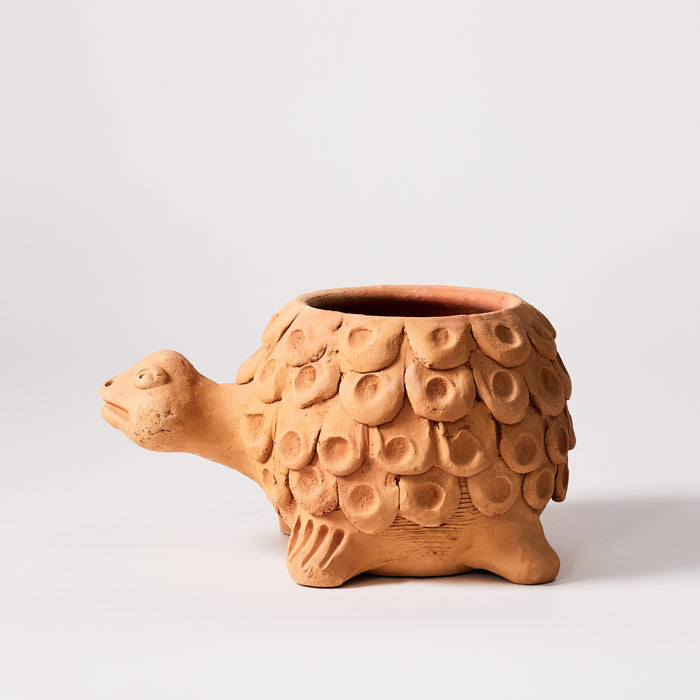 Naïve Tortoise Planter - Holes