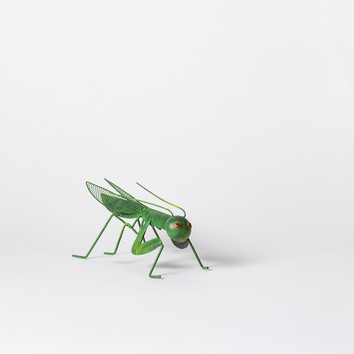 Large Grasshopper - Green