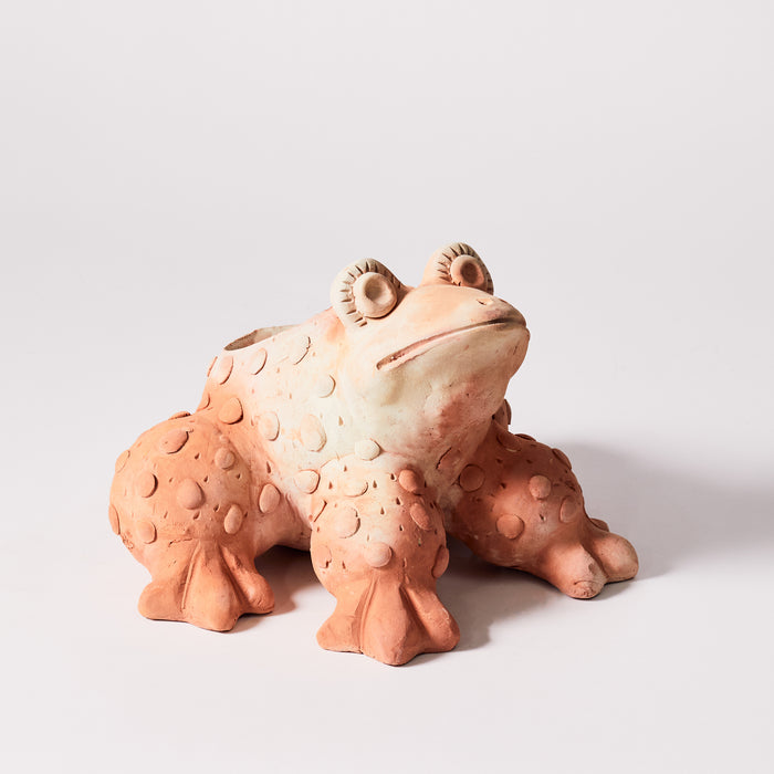 Small Frog Planter