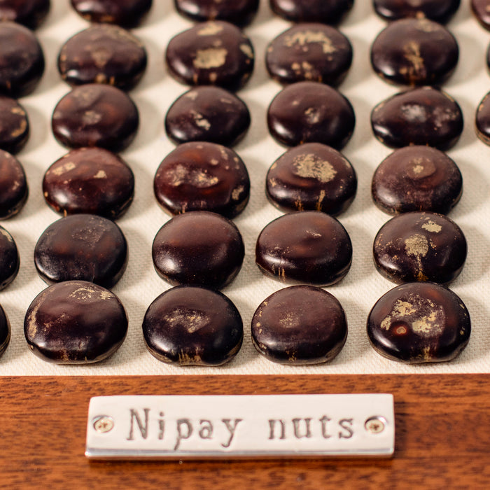 Nipay Nuts in Frame