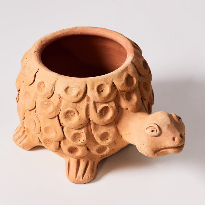 Naïve Tortoise Planter - Holes