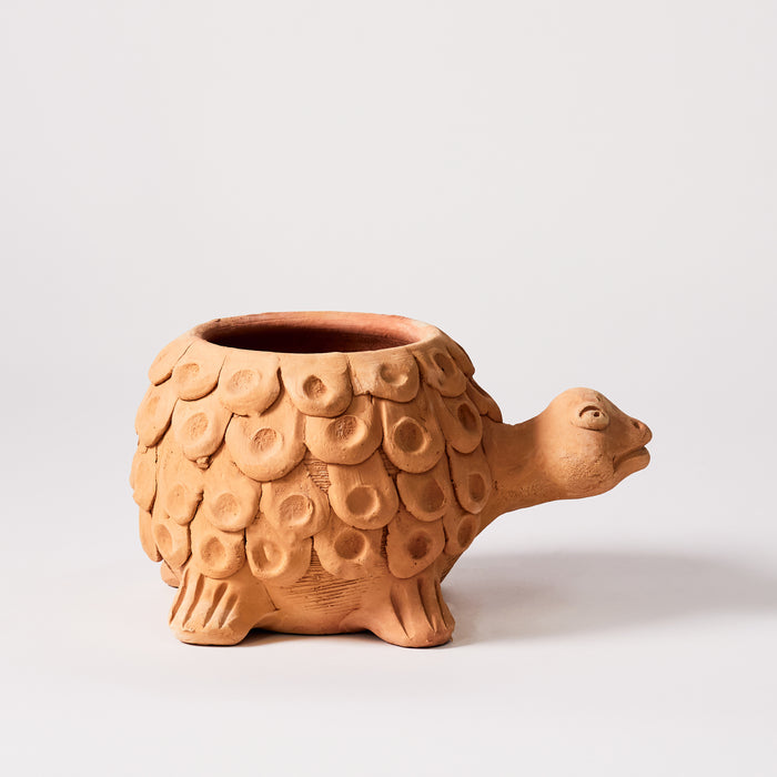 Naïve Tortoise Planter - Holes