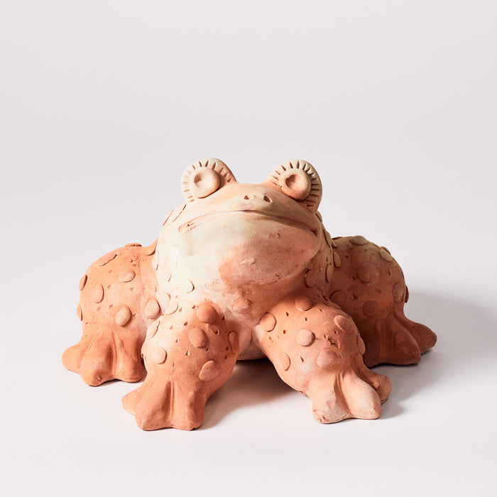 Small Frog Planter