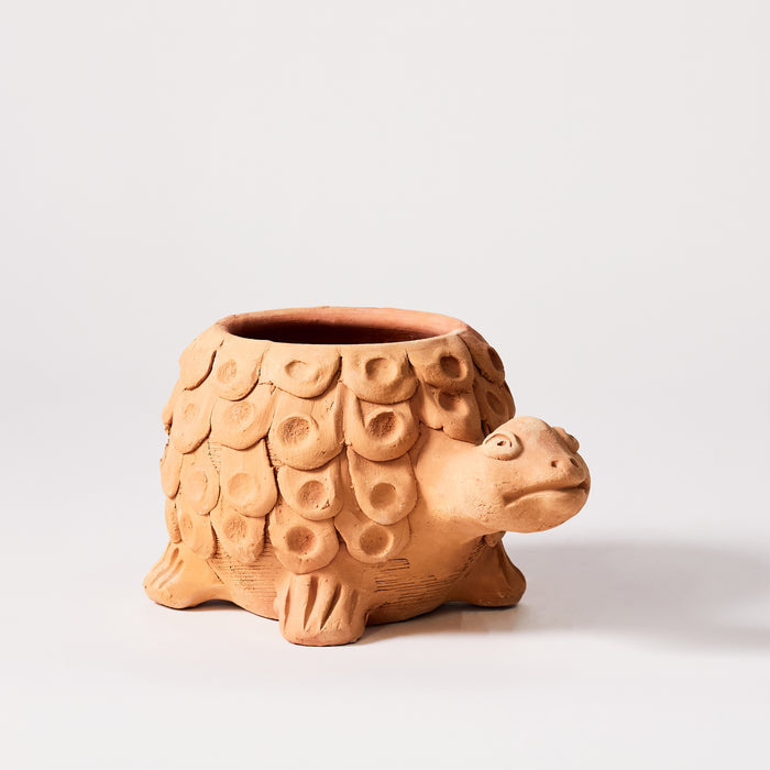 Naïve Tortoise Planter - Holes