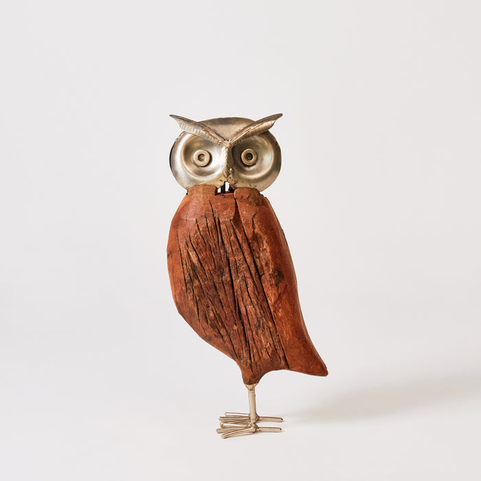 Small Owl