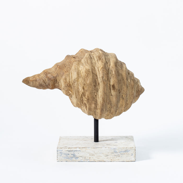 Conch Shell on Plinth