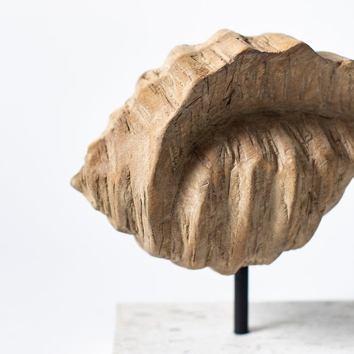 Conch Shell on Plinth