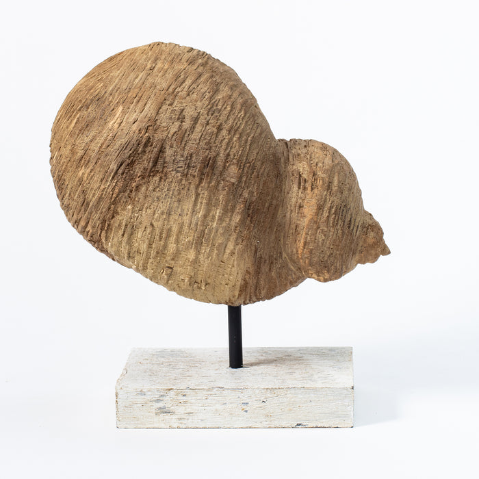 Tall Conch Shell on Plinth