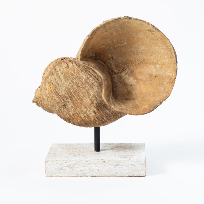 Tall Conch Shell on Plinth