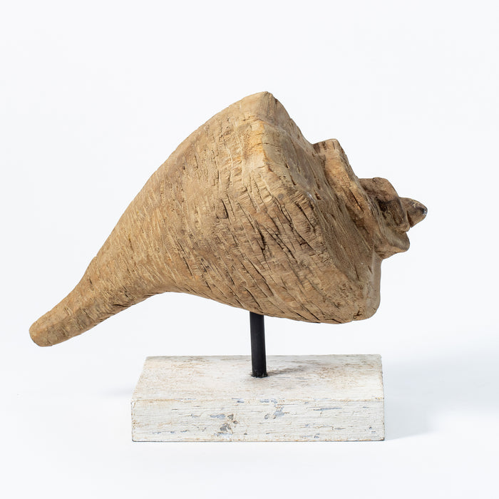 Long Conch Shell on Plinth