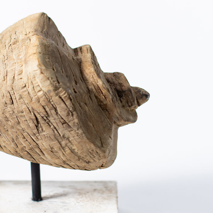 Long Conch Shell on Plinth