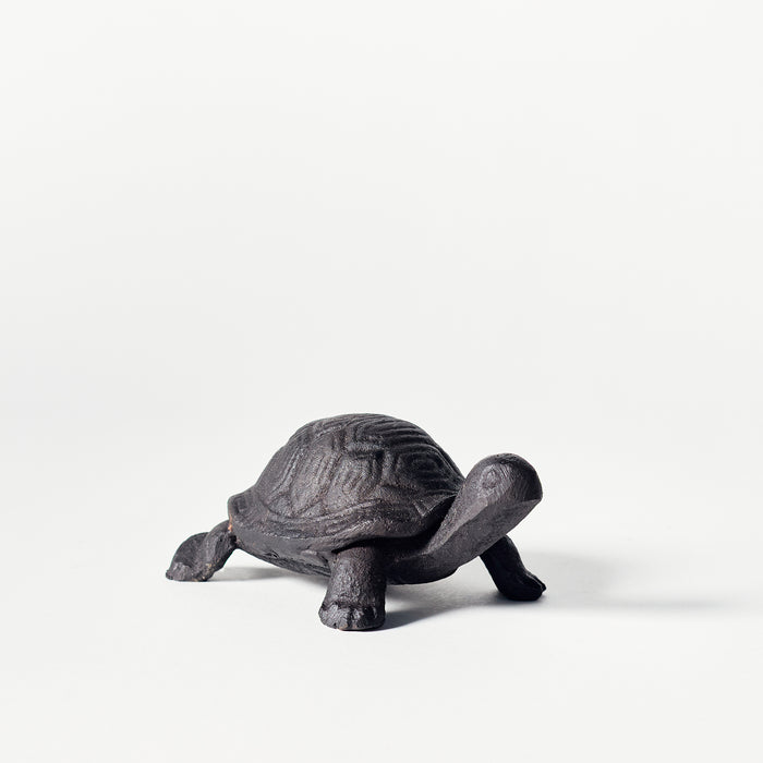 Small Tortoise