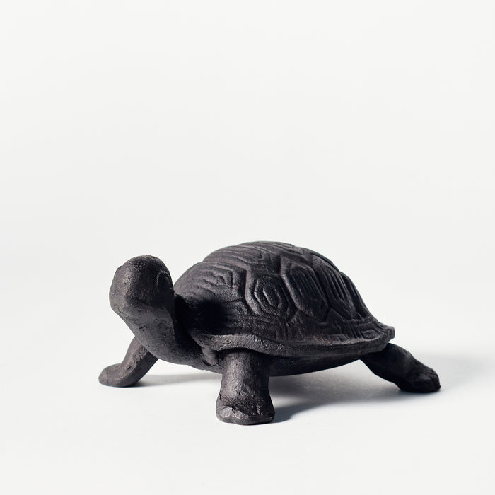 Small Tortoise