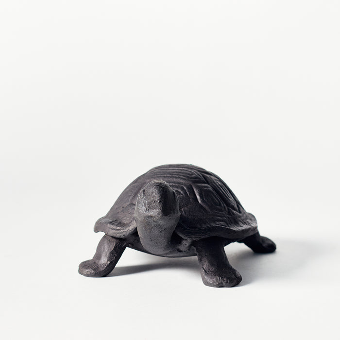 Small Tortoise