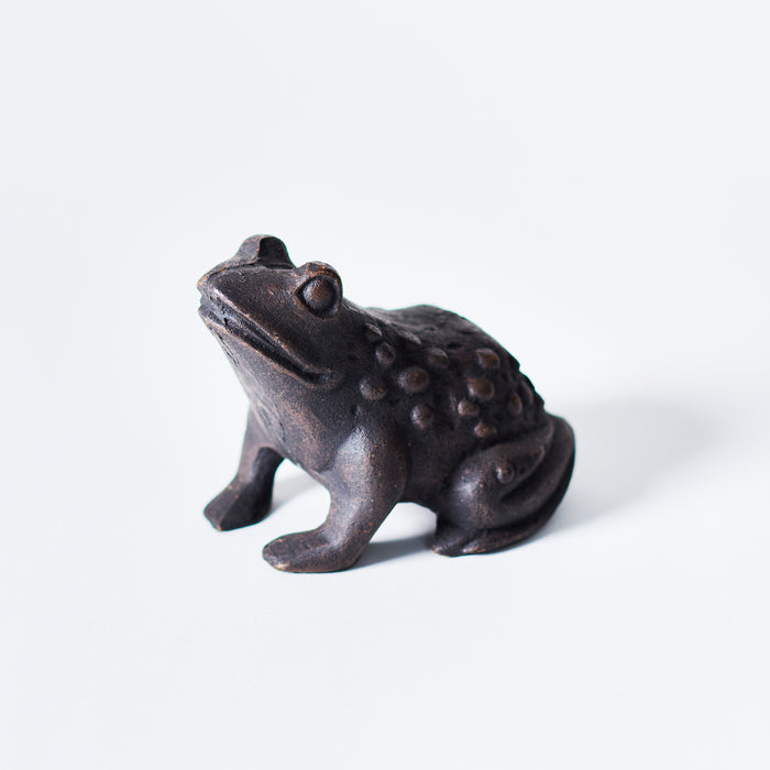 Small Frog