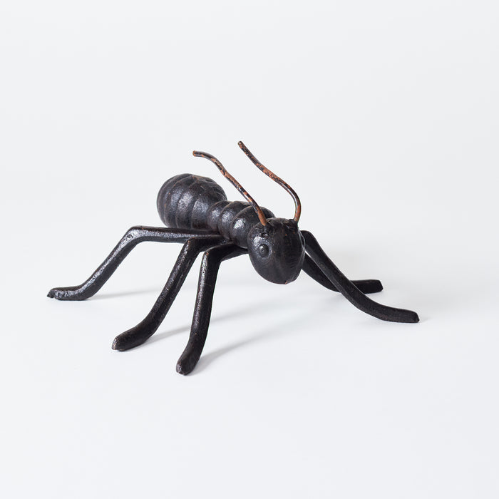 Large Ant