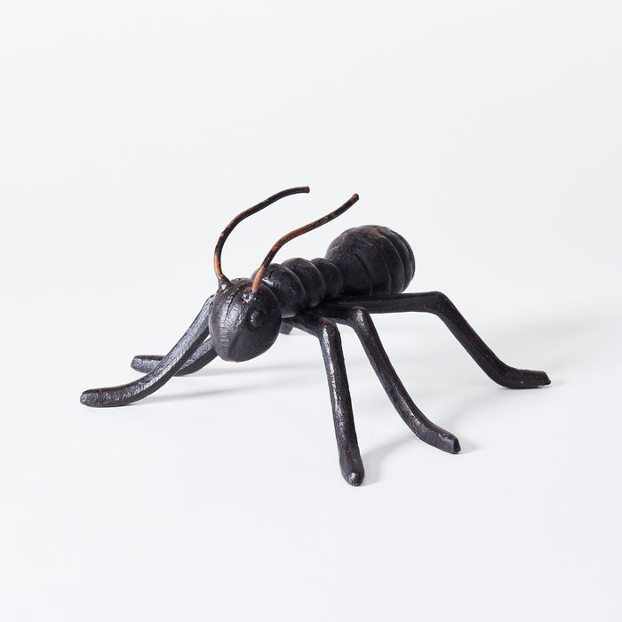 Large Ant