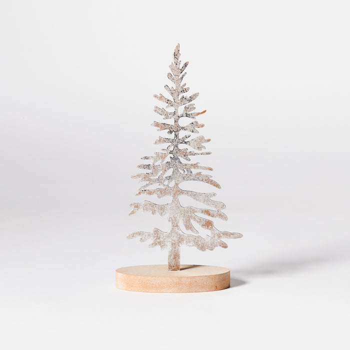 Small Pine Tree