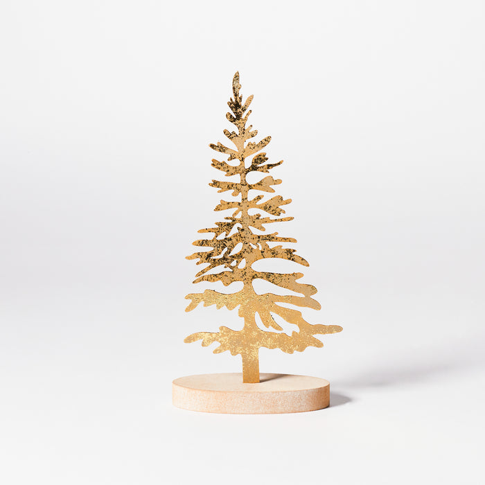 Small Pine Tree